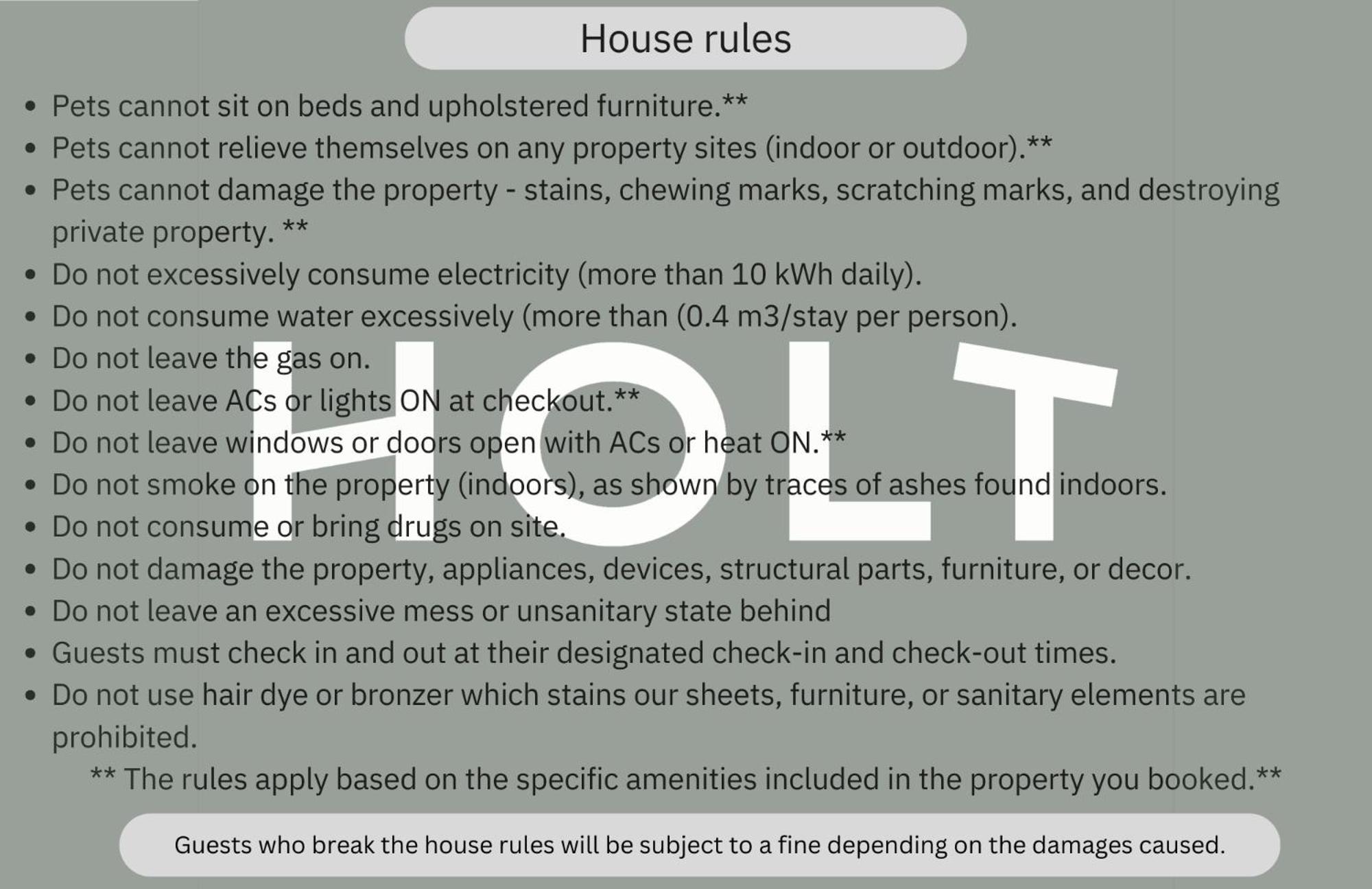 Holt - Bagheera's Den Holiday home Bucharest